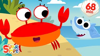 The Crabs Go Crawling  More  Fun Summer Songs  Super Simple Songs [upl. by Leila]