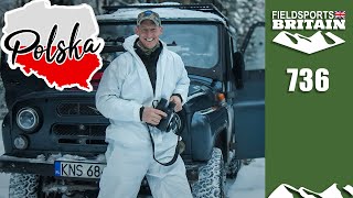 Fieldsports Britain – Hunting urban deer in Poland [upl. by Nadnal]