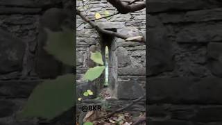 ABANDONED SCOTTISH CASTLE 🏴󠁧󠁢󠁳󠁣󠁴󠁿 Hidden in WILD Forest [upl. by Mcdade]