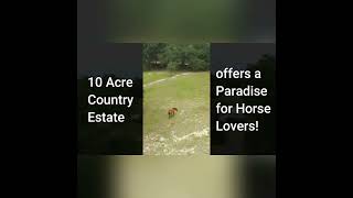 Maverick the Horse Enjoys Life on this Stunning 10Acre Country Estate in Florida youtubeshorts [upl. by Gladdie]