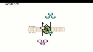 3 Pharmacodynamics Non Receptor Drug Targets [upl. by Dora790]