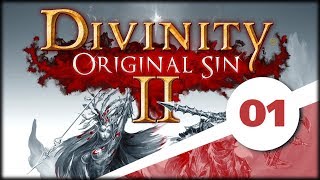 Divinity Original Sin II 1 Zaczynamy od początku [upl. by Yereffej]