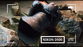 THIS NEW nikon d500 review [upl. by Ayihsa223]