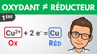 OXYDANT et RÉDUCTEUR ✔️ Vocabulaire  1ère spé  Physique Chimie [upl. by Sidwel]