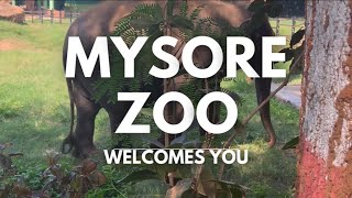 🐯Mysore zoo la enna erukunnu vanga pakalam🦓🦏🦒🦧  Resinart by Julie Zoo vlog  animal lovers Mysore [upl. by Strawn157]