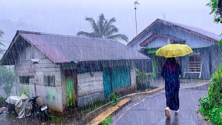 HEAVY RAIN IN PEACEFUL VILLAGE LIFE IN DECEMBER  HEAVY RAIN SOUNDS FOR SLEEPING [upl. by Rimaj226]