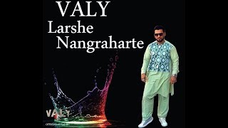 ValyLarsha Nangraharta موزیک ویدیوی جدید ولی حجازی لارشه ننگرهارته [upl. by Sabah]