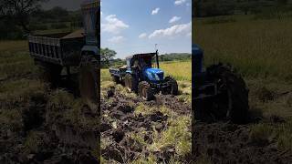 New holland and Swaraj tractors shorts trending tractor [upl. by Nareht]