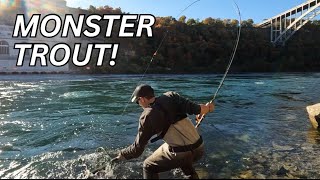 Shore Fishing for GIANT TROUT NIAGARA RIVER [upl. by Annaor]