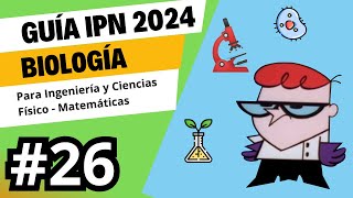 Guía IPN 2024  Biología  Pregunta 26  Área Físico  Matemática [upl. by Truda686]