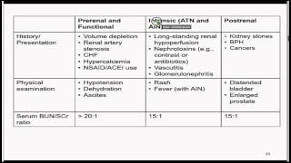 Nephrology 01 [upl. by Anyad]