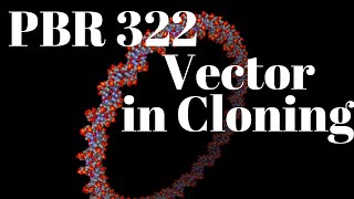 PBR322 plasmid vector  Cloning vector [upl. by Aruabea]