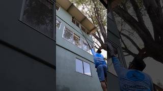 3rd Story Windows shorts windowcleaning satisfying satisfyingvideo windowtint [upl. by Lancaster]