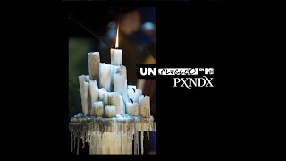 Procedimientos Para Llegar a Un Común Acuerdo MTV Unplugged  PXNDX Instrumental [upl. by Balbur]