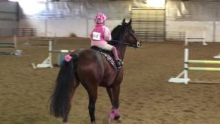 5 year old jumping 26quot Jumping Course  Kinsley and Ruby [upl. by Godric349]