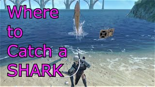 Where to Catch Shark  Nier Replicant  Where to Catch a Shark and What Bait to Use [upl. by Oswin]