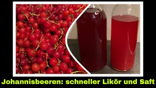 Johannisbeersaft und Johannisbeerlikör Rezept ohne Entsafter selber machen  Selbstversorgung [upl. by Aiehtela]