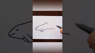 How To Draw A Vaquita whale shorts [upl. by Elleon]