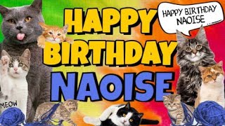 Happy Birthday Naoise Crazy Cats Say Happy Birthday Naoise Very Funny [upl. by Darcee]