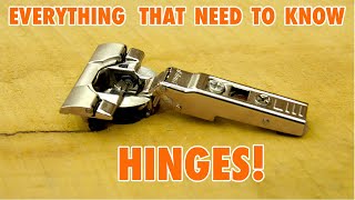 Cabinet Door Hinges  Everything you need to Know [upl. by Ansell715]