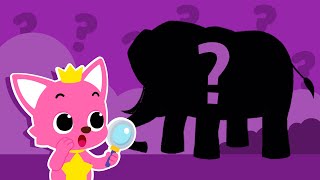 Hiden Seek with Pinkfong Elephant Zebra Eagle  Visiting Zoo  Pinkfong Vocabulary [upl. by Gnok]