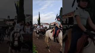 Horse show at Golega Portugal [upl. by Leisha149]