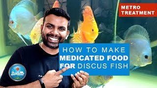 How To Make Medicated Food Discus Fish  Metro Treatment  Deworming Discus Fish  HEX Treatment [upl. by Okuy929]