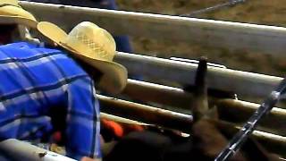 12 Year Old Bull Ridermp4 [upl. by Christi]