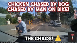 Road Rage  Hit and Run  Bad Drivers Brake check Car  Dash Cam 553 [upl. by Juta813]