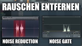 Noise Reduction oder Noise Gate  Wann nutzt mal welche Methode  FL Studio Tutorial [upl. by Noivad]