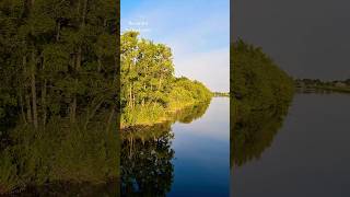 Netherlands holland green beautiful nature youtubeshorts relaxing naturephotography calm [upl. by Cacia808]