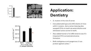 Yussef Duzdar Biochemistry ProjectLactoferrin [upl. by Tolley]