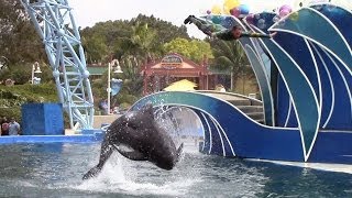 Pilot Whale Hydro  Seen during Blue Horizons at SeaWorld San Diego  March 24 2014 [upl. by Odlanyer]