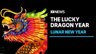 Lunar New Year 2024 What does the year of the dragon mean  ABC News [upl. by Ennove]