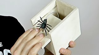 funny spider filter prank collection part 2 be happy [upl. by Sivart]