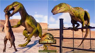 AUSTRALOVENATOR HUNTING Animation vs All Small Dinosaurs  Fence Climbing Animation  JWE 2 [upl. by Anahpets]