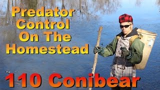 Predator Control on The Homestead 110 conibear [upl. by Shepley772]