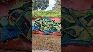 VERY UNIQUE GRAFFITI PIECE 😧 graffitiart graffiti shorts [upl. by Aicertal]