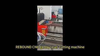 High quality gantry laser cutting machine 8mm carbon steel cutting [upl. by Llemaj981]