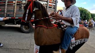 cabalgata 2024 Octubre [upl. by Ahsekal330]