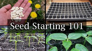 How To Start Vegetable Seeds  The Definitive Guide For Beginners [upl. by Nyrb]