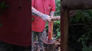 BATONING A FIGHTING KNIFE bushcraft survival sharpblades sharp shorts worktuffgear blade [upl. by Sanfred]