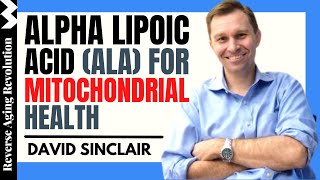 DAVID SINCLAIR quotAlpha Lipoic Acid For Mitochondrial Healthquot  Dr David Sinclair Interview Clips [upl. by Enelra756]