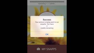 PlantSnapp App Video [upl. by Revkah]