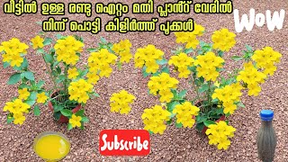 Kerala garden ideas for home Malayalam gardening flowers  പൂക്കൾ നിറയാൻ അറിയാതെ [upl. by Trabue798]