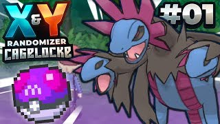 AN INSANE START  Pokémon X and Y Randomizer Cagelocke wFeintAttacks PART 1 [upl. by Nolyad470]