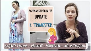 SCHWANGERSCHAFTS UPDATE l 5  13 SSW l Placenta Praevia l Wie erzählt l Ultraschall l HelloCathi [upl. by Nacul]