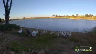 Devonvale Golf And Wine Estate  drone aerial video  Overview long [upl. by Hareemas169]