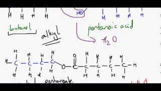 OCR A level Chemistry Unit F322F324 Module 2  Esterification and dehydration of alcohols [upl. by Aekerly206]