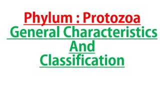 Phylum Protozoa General characters and Classification Part 1 [upl. by Suhpoelc]